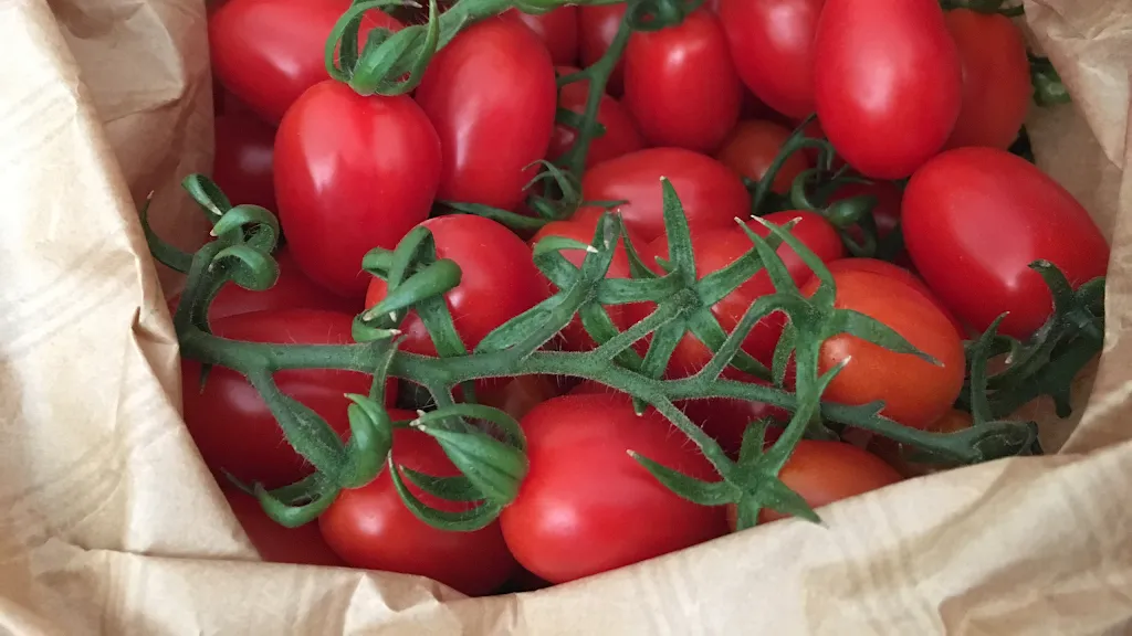 Duepuntozero S.N.C._Cavolano-Schiavoi_slider_image_2