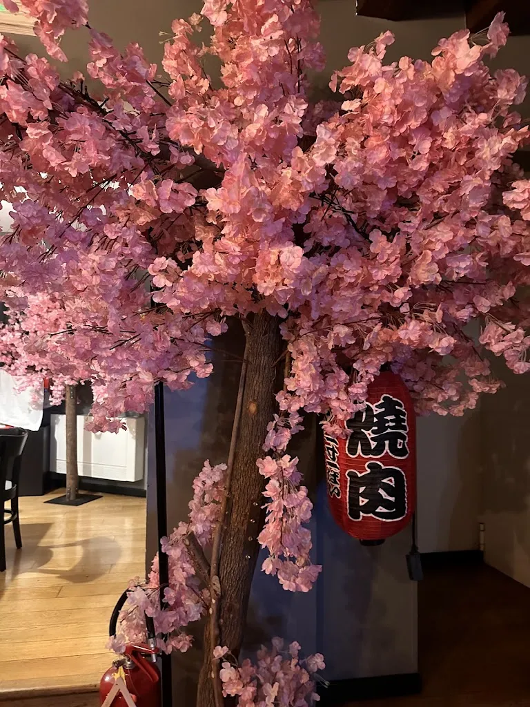 Maryana Sova_Jin Sushi_Cavolano-Schiavoi_review