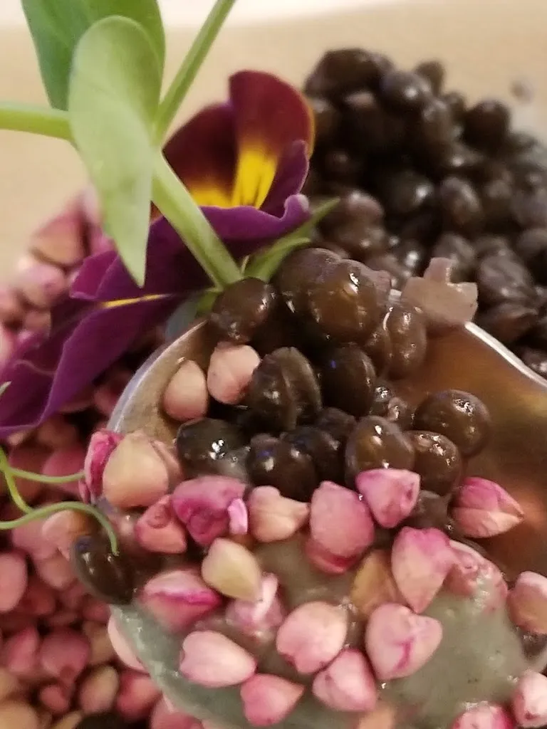 Jane Catalano_Al Tiglio cucina naturale / Ristorante Veg_Colloredo di Monte Albano-Lauzzana_review