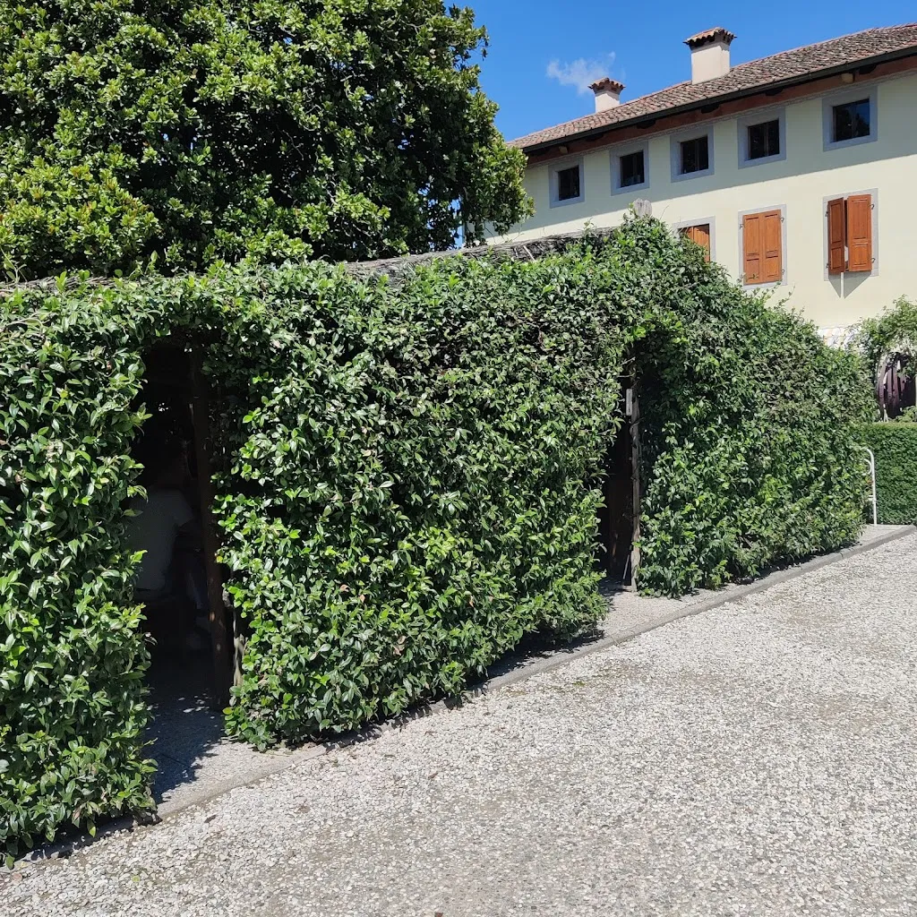 Cele_Là di Madot_Codroipo_recensione