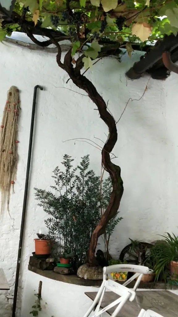 Antica Trattoria Dominissini_Cividale del Friuli_slider_image_2