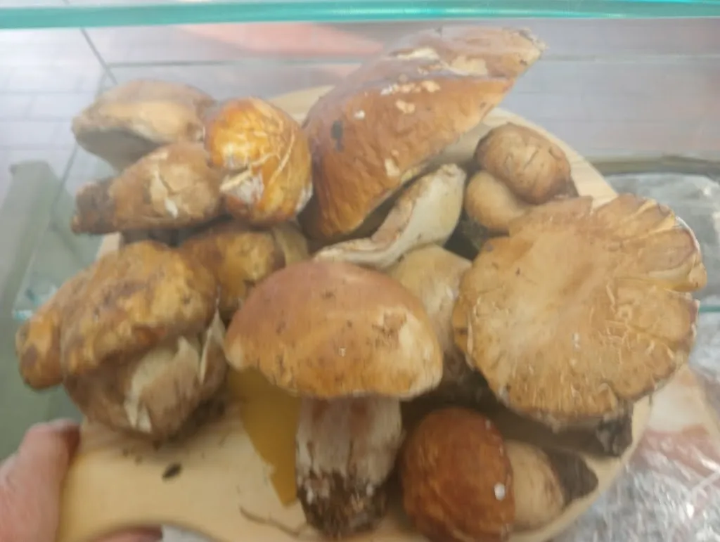 Menu_La vigna pazza_Cividale del Friuli_image_6