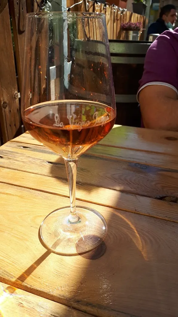 Menu_La vigna pazza_Cividale del Friuli_image_8