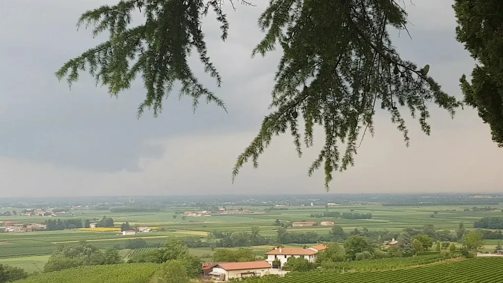 Trattoria Alla Pineta_Cividale del Friuli_slider_image_2