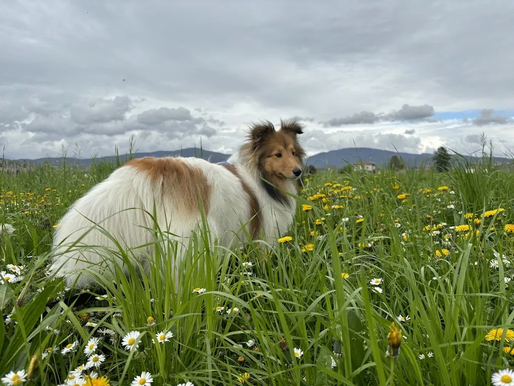 Karolina Małetka_AL POSTO GIUSTO_Cividale del Friuli_review