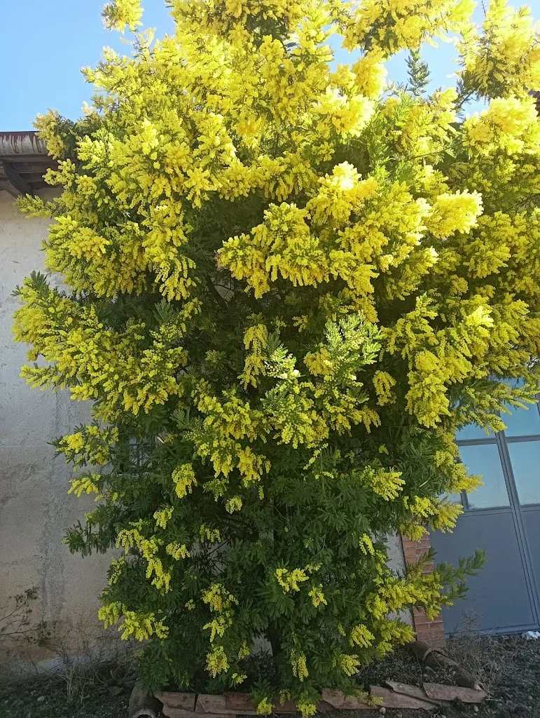 Al Casale 141_Cividale del Friuli_slider_image_2