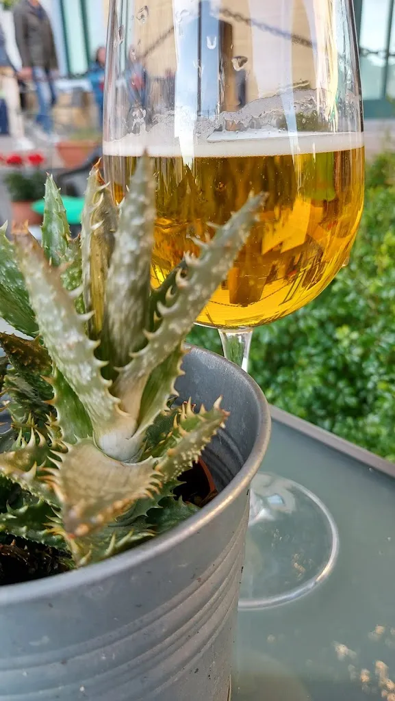 Menu_Bar Osteria Al Camarin_Cividale del Friuli_immagine_7