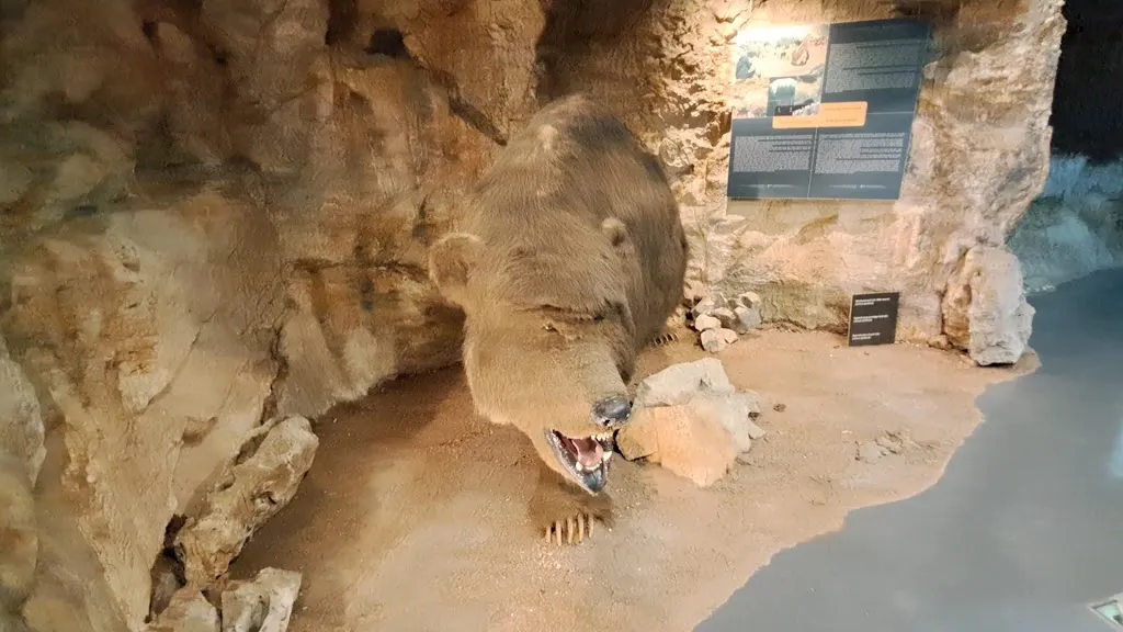 Centro Visite Gradina/Sprejemni center Gradina_Doberdò del Lago_slider_image_2