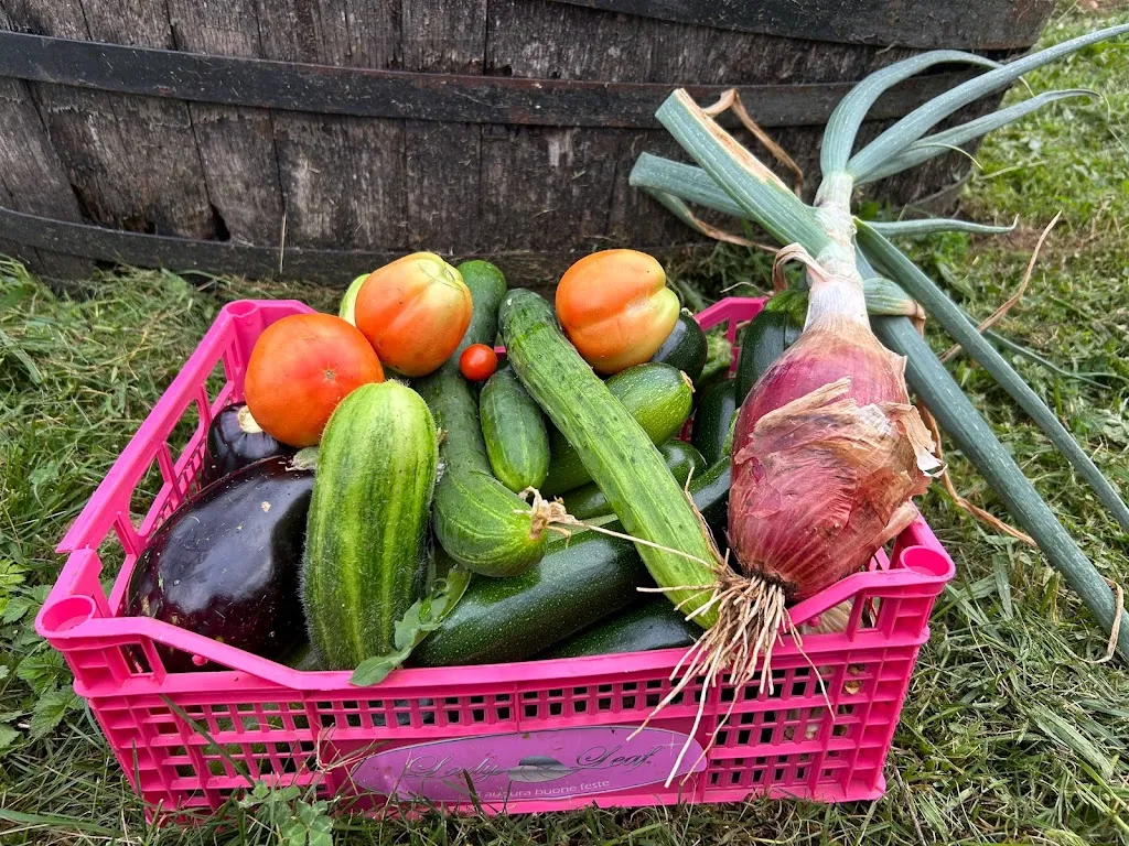 Menu_Di Paolantonio home restaurant_Cordenons_image_2