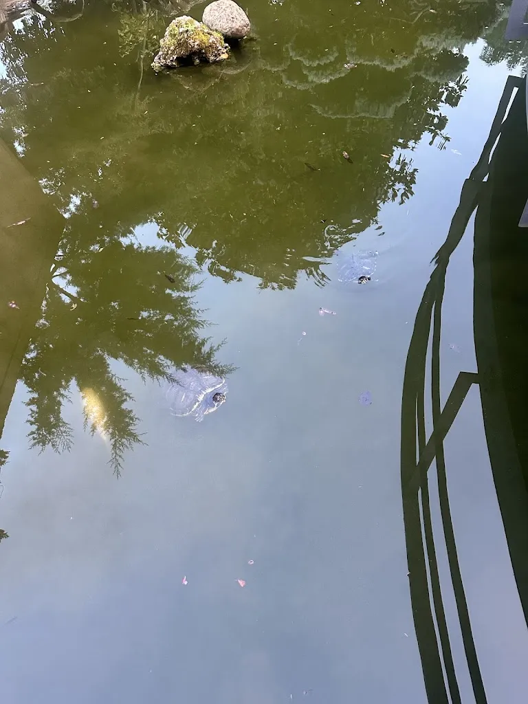 O. P._Ristorante Al Giardino_Fanna_review