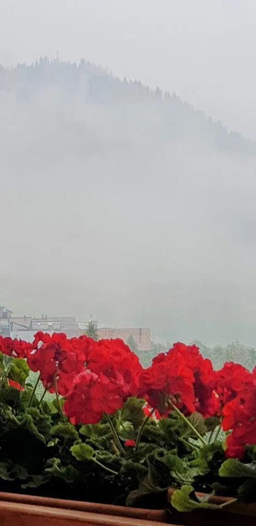 Peter Jürg Bury_Albergo Al Sole_Forni Avoltri_recensione