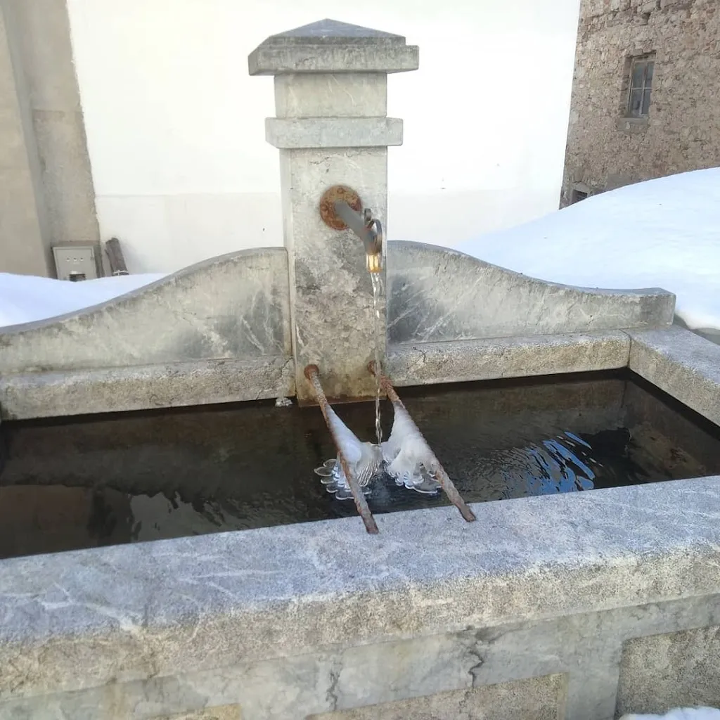 Erman F._Trattoria alla fontana di Polo Francesco_Forni di Sotto_review