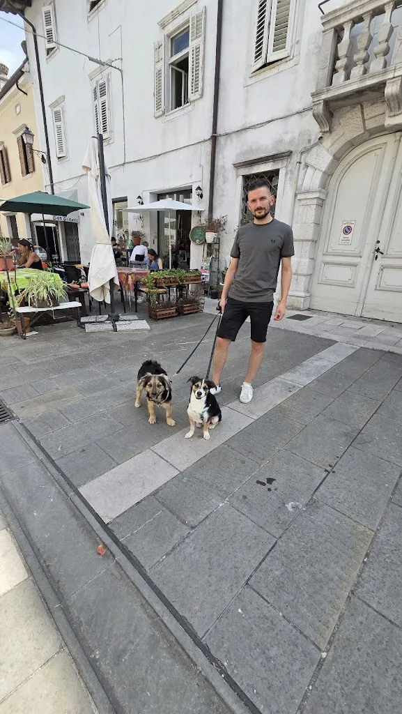 Aiscia Viti_Caffè Bauhaus Gelateria_Gradisca d'Isonzo_review