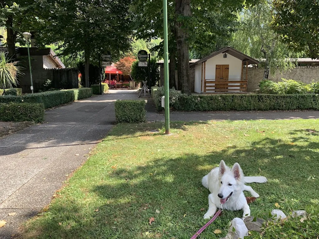 Elvira SELISCHI_Ristorante Pizzeria Willy_Gemona_review