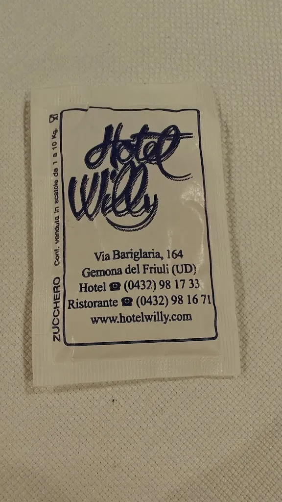 MC Simeoni_Hotel Willy - Taverna, Pizzeria, Ristorante_Gemona_review