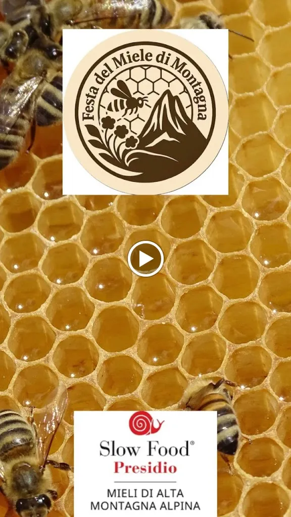 Al Cral Osteria con cucina_Lauco_slider_image_2