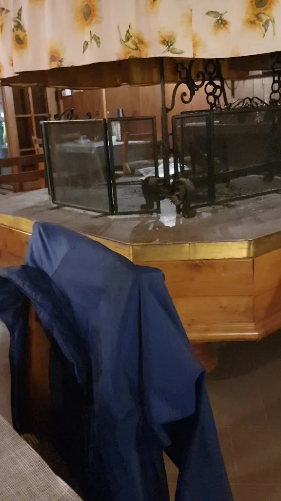 Albergo Ristorante Pizzeria dal Asìn restaurant in Majano