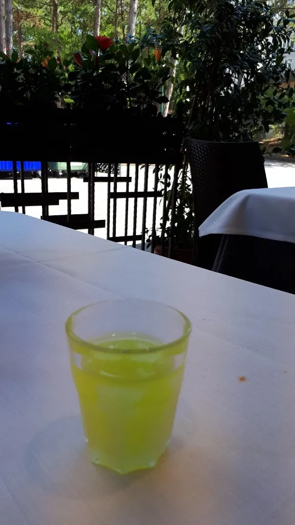 Menu_Ristorante Pizzeria Nerone_Lignano Sabbiadoro_image_8