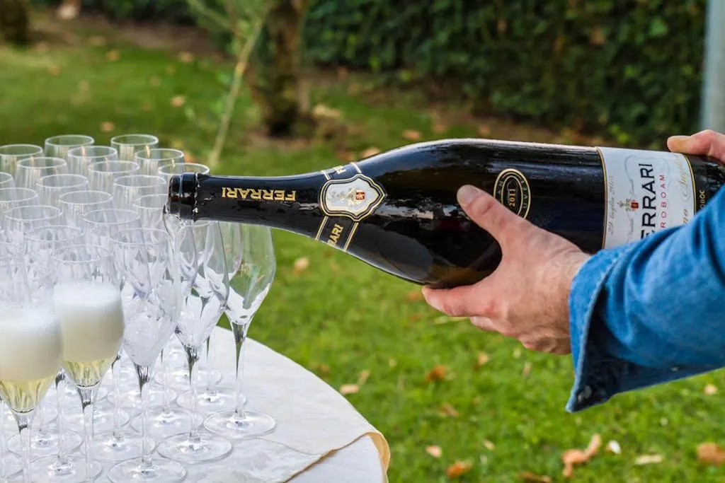 Ristorante Le Mimose - Location per eventi_Sant'Egidio alla Vibrata_slider_image_2