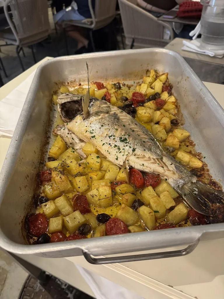 Marko Djuricic_Sal de mar_Muggia_review