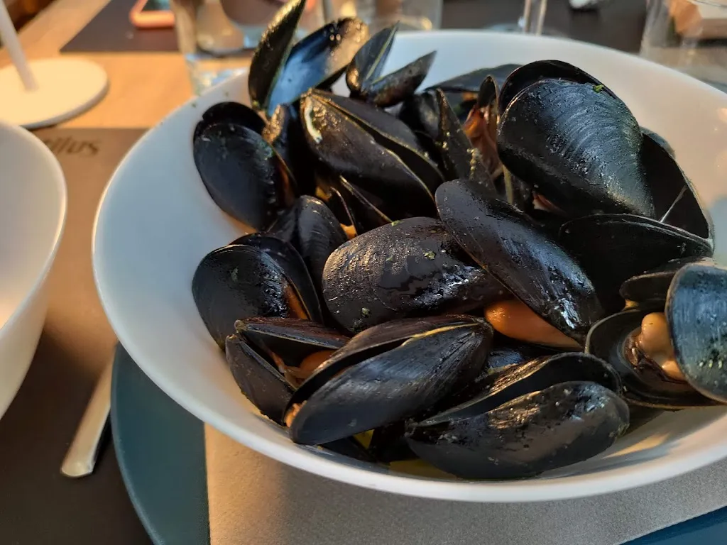 Menu_Mytilus_Muggia_image_5