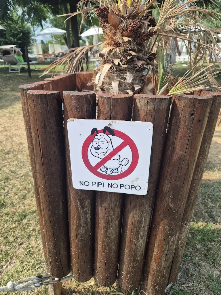 Dominik Daubner_Mytilus_Muggia_review