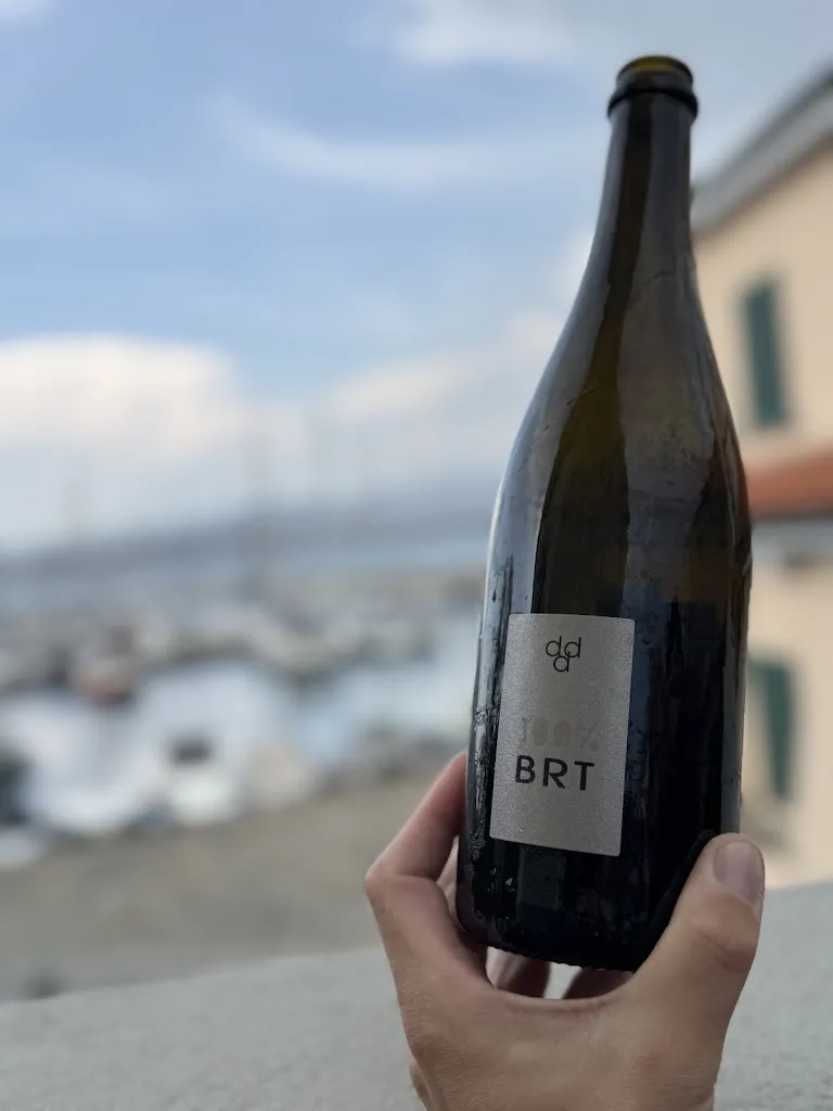 Florian Lechner_Buffet AlPorto_Muggia_review