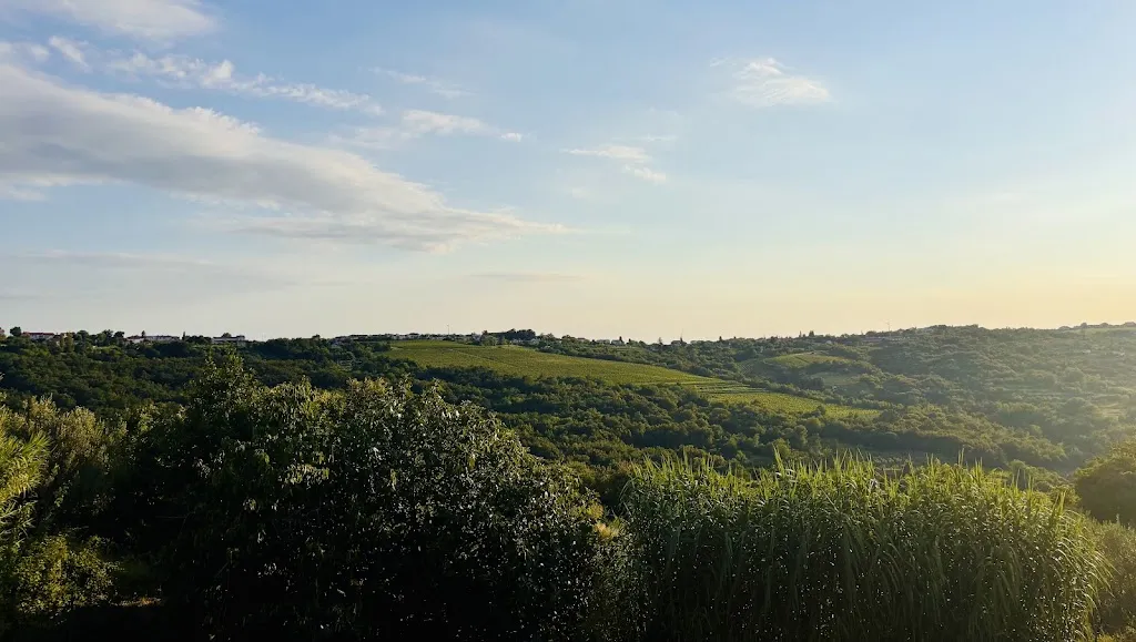 Giuliana Zimmerer_Taverna Cigui_Muggia_review