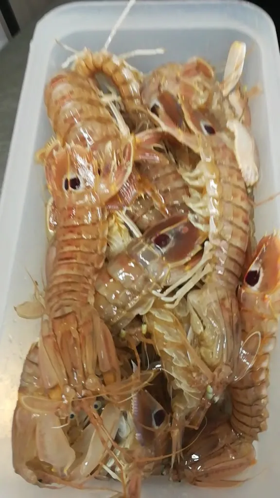 Trattoria Birreria Al Porto_Muggia_slider_image_2