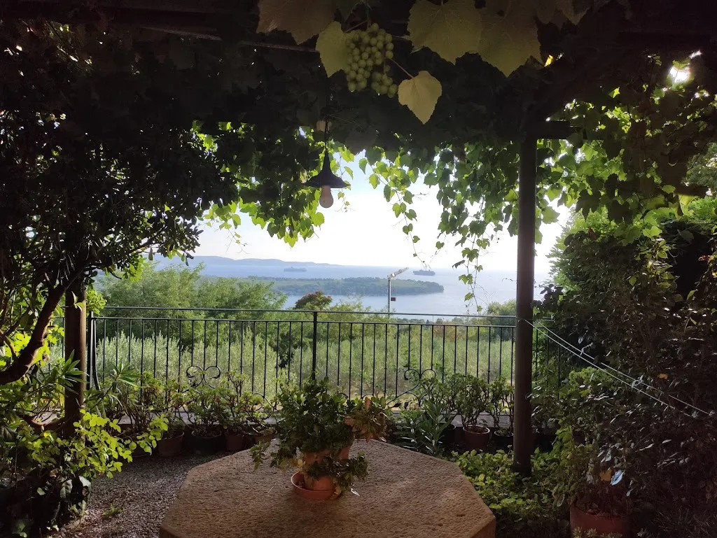 Zoltán Barnóth_Ristorante Azienda Agricola Scheriani_Muggia_review