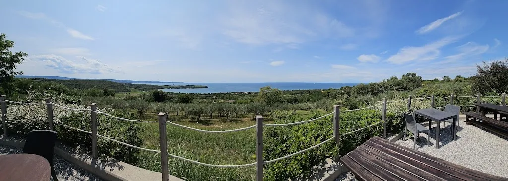 Alex Thompson_Ristorante Azienda Agricola Scheriani_Muggia_review