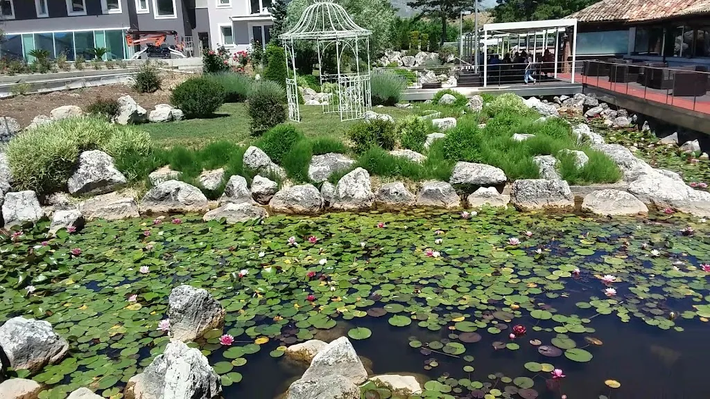 Ristorante Napoleone_Avezzano_slider_image_2