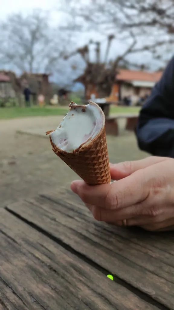 Menu_Cospalat_Pagnacco_image_6