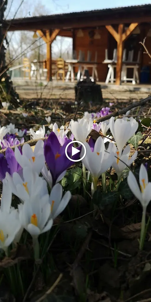 Agriturismo Pividori - Pagnacco_Pagnacco_slider_image_2