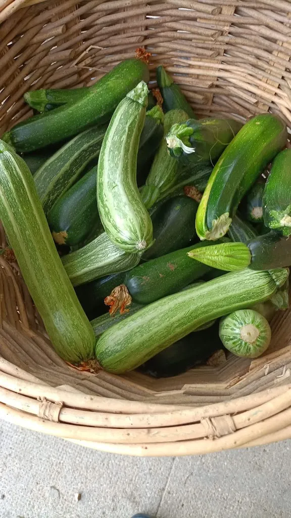 Menu_Pizzeria Lo Spicchio_Pagnacco_image_7