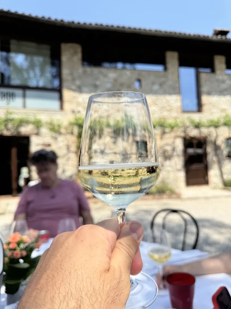 Istvan Lam_Zago_Pagnacco_review