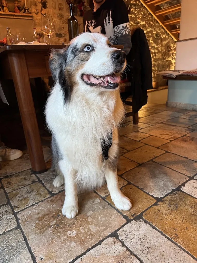 Eleonora Costa_Ristorante L'Ostarie Dal Palût Di Giusto Maria Isabella_Pagnacco_review