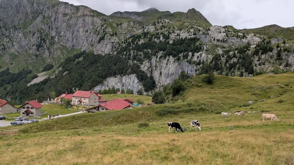 Luciana L. S._Malga Promosio / Cjasere Promôs / Promoser Alm_Paluzza_review