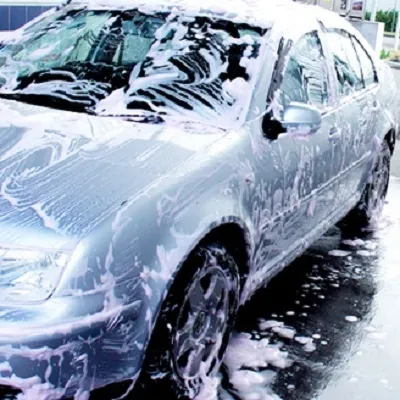 Tavola calda Bar Moro restaurant in Paluzza