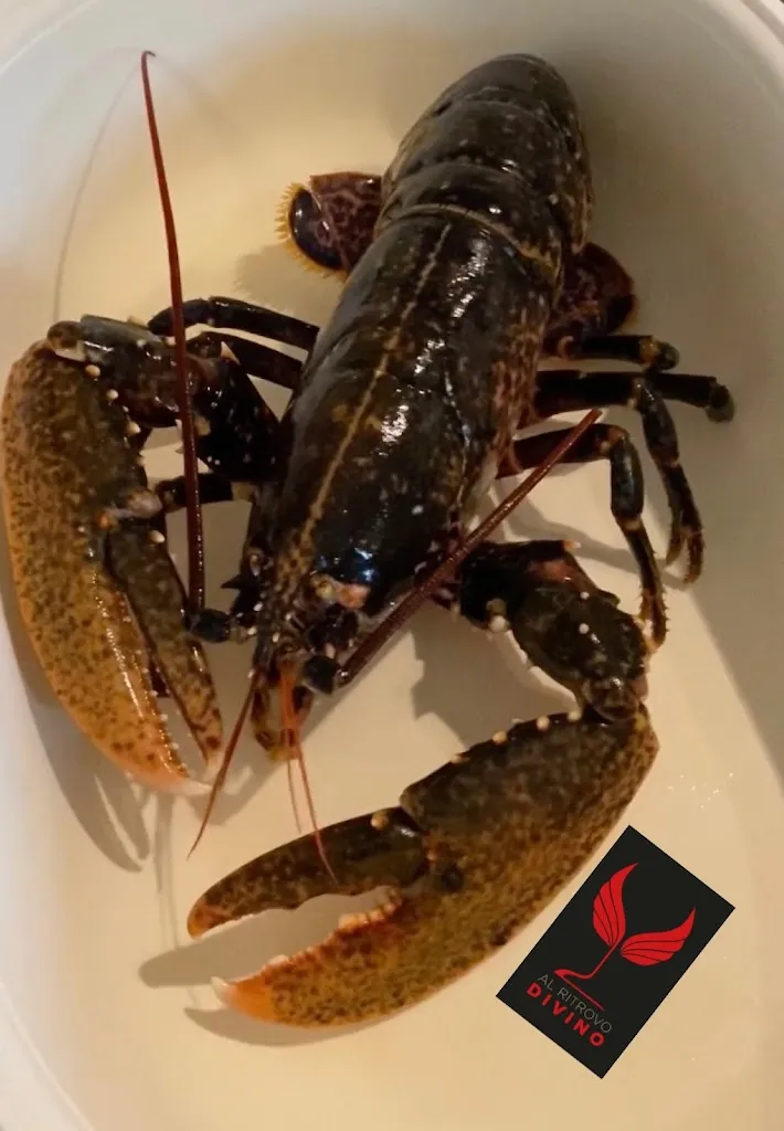 Menu_Al Ritrovo Divino_Pasiano_image_4