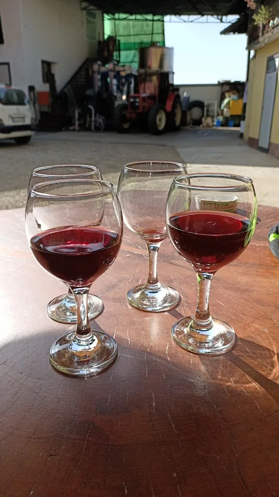 Menu_Ristorante Ital_Pavia di Udine_immagine_1