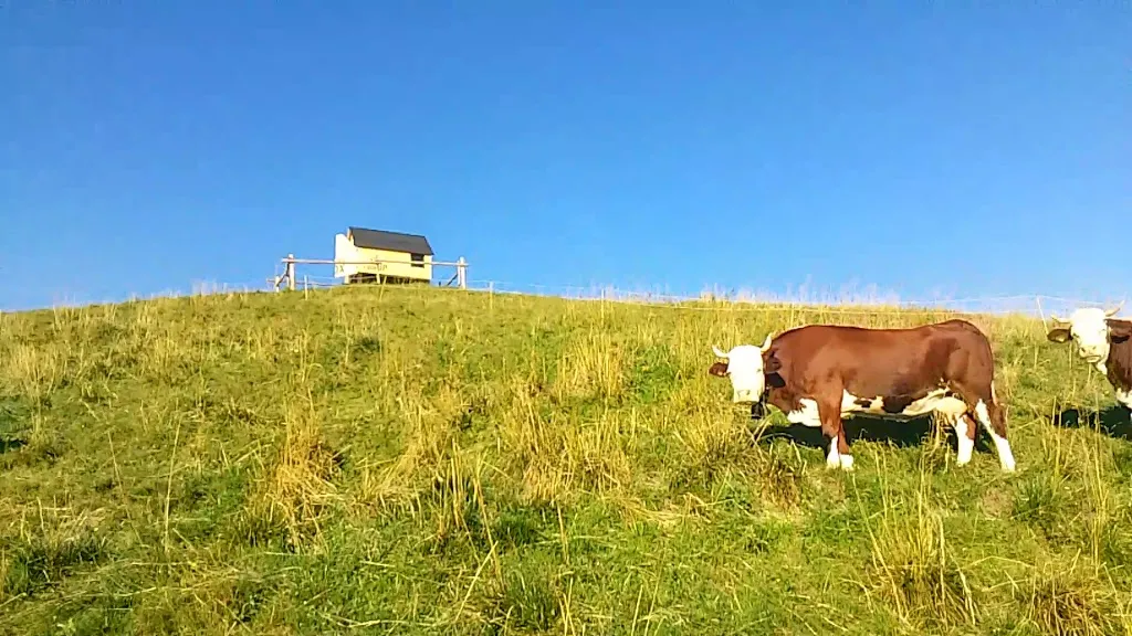 Malga Glazzat - AGRITURISMO_Pontebba_slider_image_2