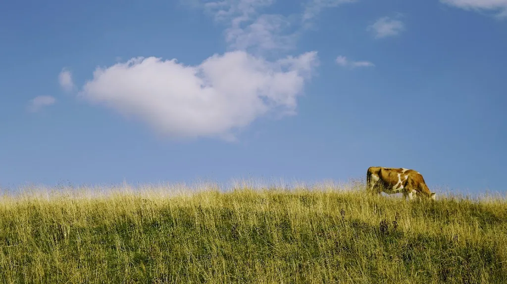Malga Glazzat - AGRITURISMO_Pontebba_slider_image_3