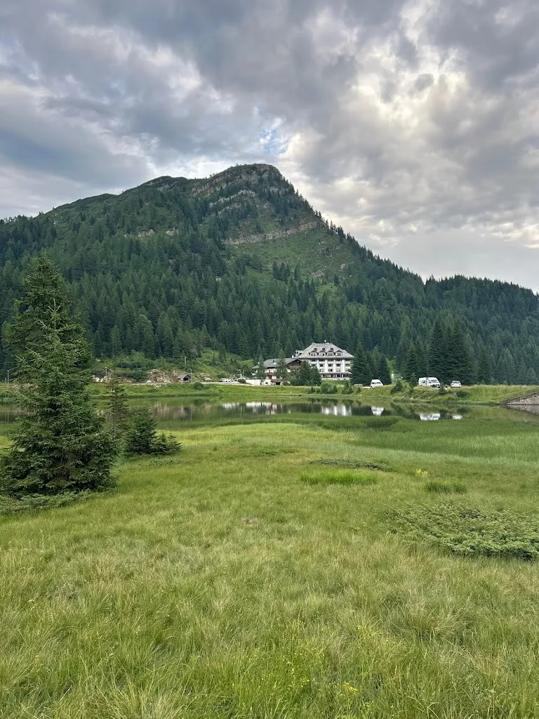 Marinka Blataric_Wulfenia da LIVIO_Pontebba_review