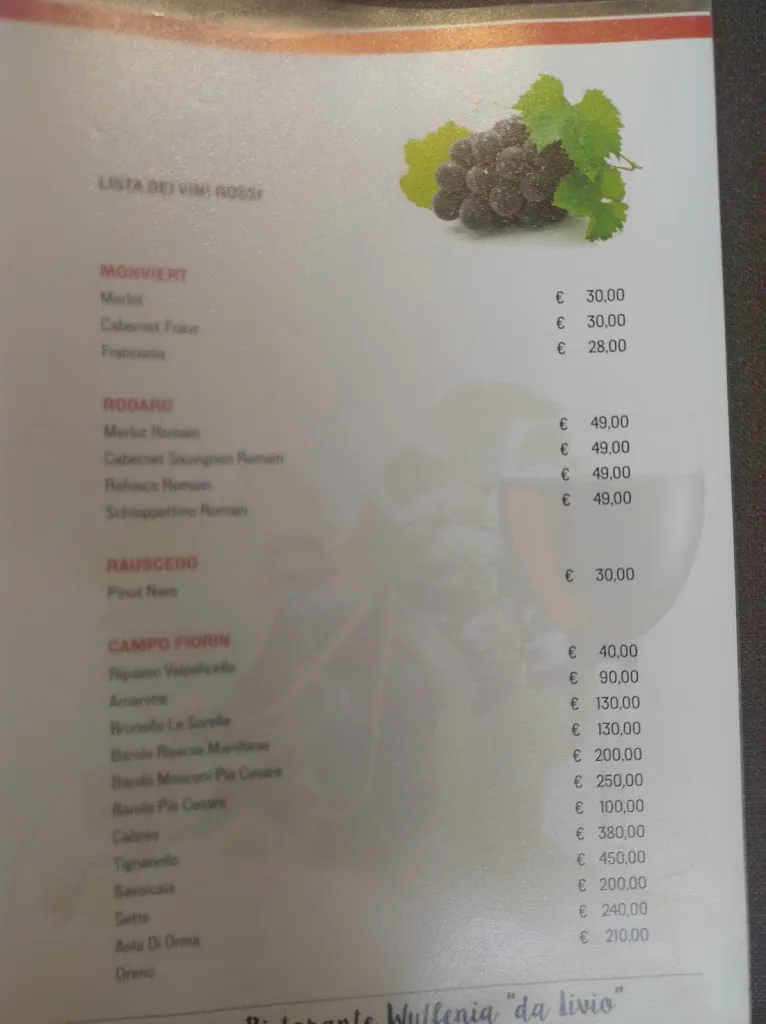 Denisa Vetráková_Wulfenia da LIVIO_Pontebba_review