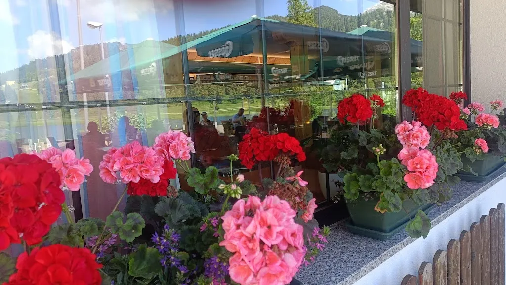 Jean Miller_Wulfenia da LIVIO_Pontebba_review