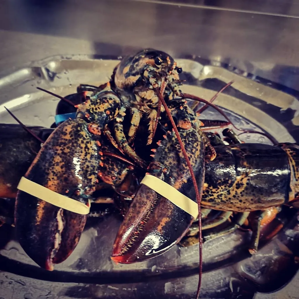 Villa De Asarta Ristorante e Pizzeria_Porpetto_slider_image_3