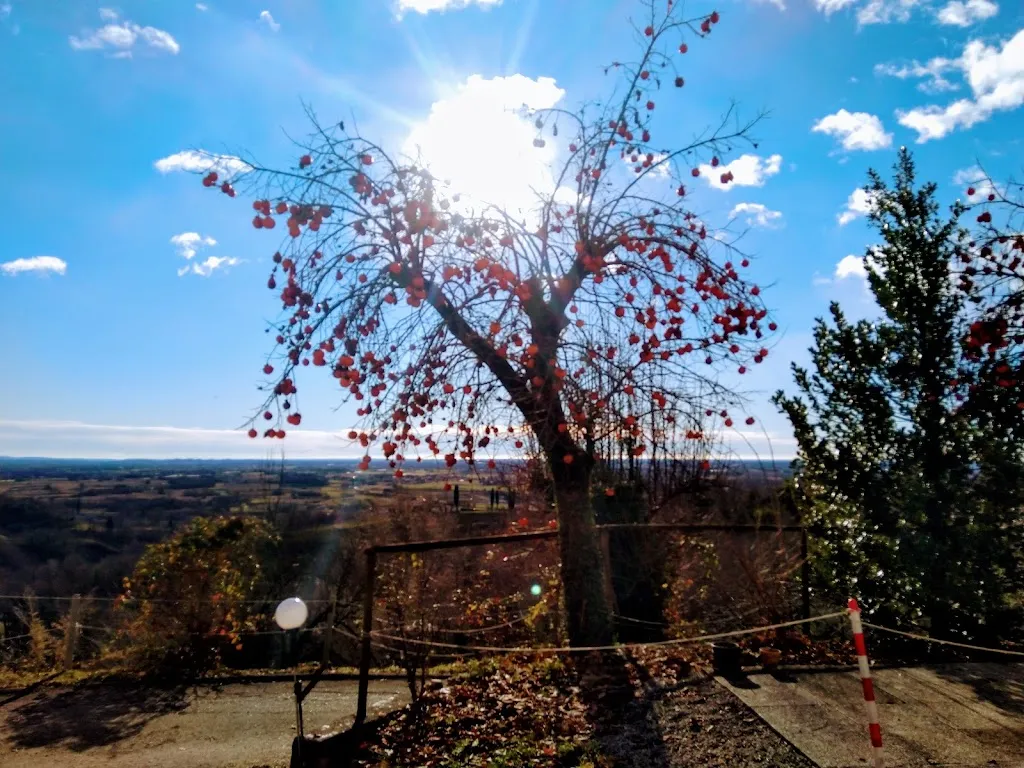 Trattoria Da Bramante_Povoletto_slider_image_3