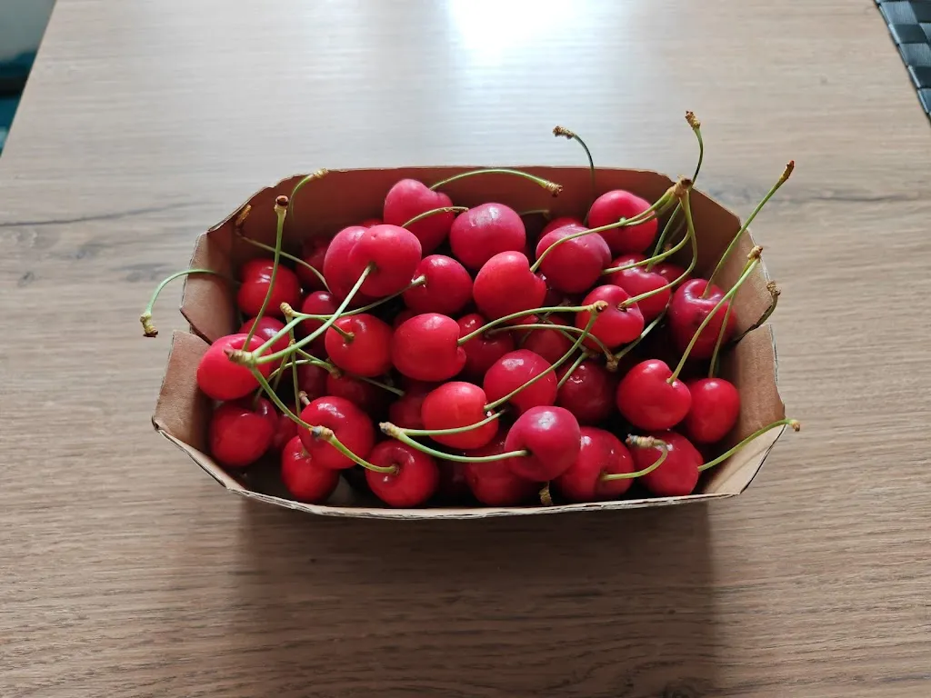 Gherard Barghini_Frasca Dal Bacan dal 1978_Pozzuolo del Friuli_recensione