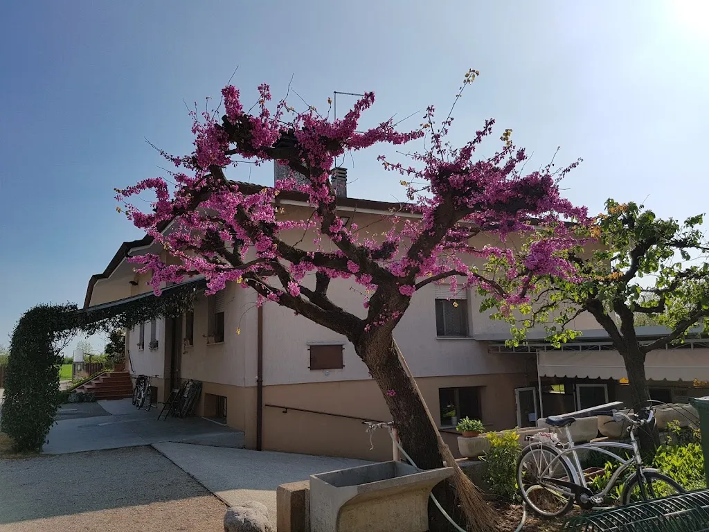 Frasca Dal Bacan dal 1978 restaurant in Pozzuolo del Friuli